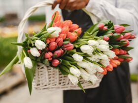 Tips for Choosing the Perfect Bouquet