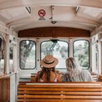 Party Transportation Tips and Tricks for a Stress-Free Experience